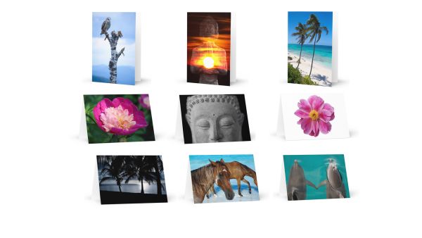 Greeting Card Pack of 3