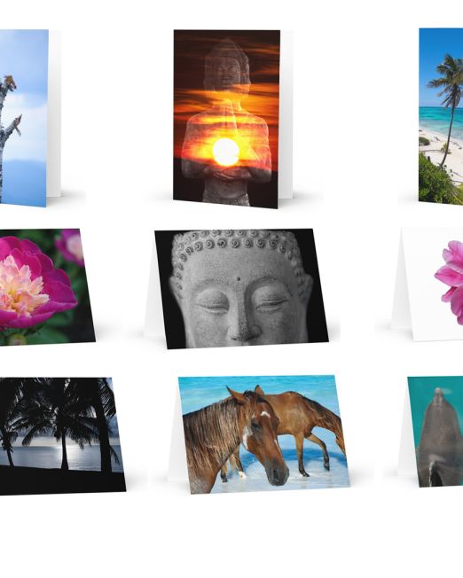 12 Greeting Cards Package