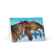 Greeting Card Pack of 20