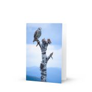 Greeting Card Pack of 20