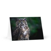 Greeting Card Pack of 20