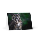 Greeting Card Pack of 12