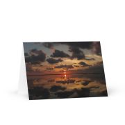 Greeting Card Pack of 20