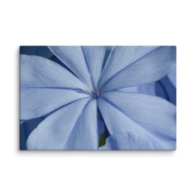 A Waking Dream 16×24 Canvas Print