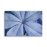 canvas-in-16x24-wall-6aa469884acb5.jpg