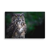canvas-in-16x24-wall-6aa46a9a5ae61.jpg
