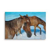 Free Spirits 16×24 Canvas Print