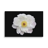 canvas-in-16x24-wall-6aa46c0927015.jpg