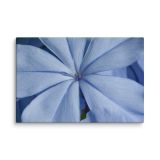 canvas-in-24x36-wall-6a9b05b011a92.jpg