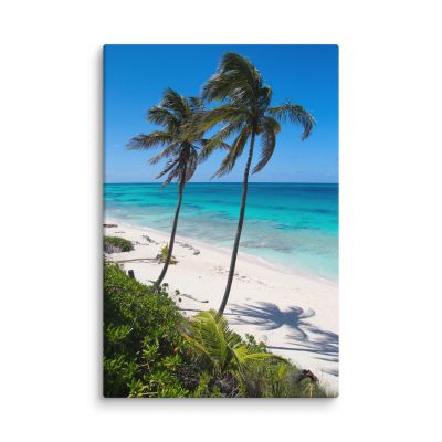 Secret Paradise 24×36 Canvas Print