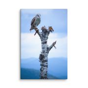 Athena 24×36 Canvas Print