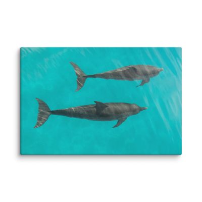 Twin Souls 24×36 Canvas Print