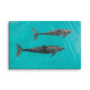 Twin Souls 24×36 Canvas Print