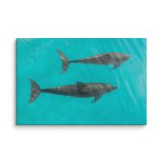 Twin Souls 24×36 Canvas Print