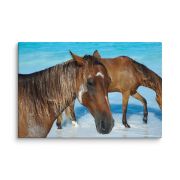 Free Spirits 24×36 Canvas Print
