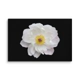 canvas-in-24x36-wall-6a9b0dcd539fa.jpg