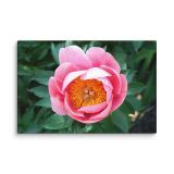 canvas-in-24x36-wall-6a9b0ef29dc97.jpg
