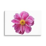 Pink Reverie 24×36 Canvas Print