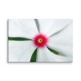 canvas-in-24x36-wall-6aa9ad876587f.jpg