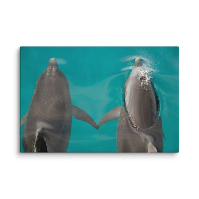 You and Me 8×12 Canvas Print