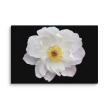 canvas-in-8x12-wall-6aa46c2b5ebfb.jpg