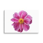 Pink Reverie 8×12 Canvas Print