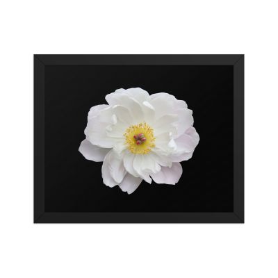 Light Out of the Dark 11×14 Framed Poster