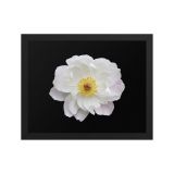 enhanced-matte-paper-framed-poster-in-black-11x14-front-6aa4518cc6918.jpg
