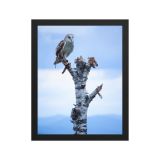 enhanced-matte-paper-framed-poster-in-black-11x14-front-6aa456ac3b64f.jpg