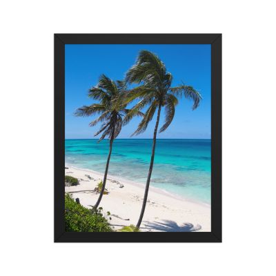 Secret Paradise 11×14 Framed Poster