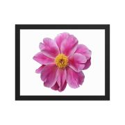 Pink Reverie 11×14 Framed Poster