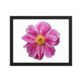 enhanced-matte-paper-framed-poster-in-black-11x14-front-6aa45d1eea1be.jpg