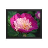 enhanced-matte-paper-framed-poster-in-black-11x14-front-6aa45f4bc8d83.jpg