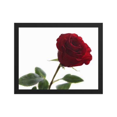 The Lovers Rose 11×14 Framed Poster