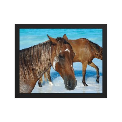 Free Spirits 11×14 Framed Poster