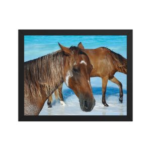 Free Spirits 11×14 Framed Poster