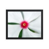 enhanced-matte-paper-framed-poster-in-black-11x14-front-6aa984bfe4a88.jpg