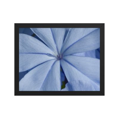 A Waking Dream 11×14 Framed Poster