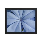 A Waking Dream 11×14 Framed Poster