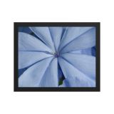 enhanced-matte-paper-framed-poster-in-black-11x14-front-6aa9905e73e71.jpg