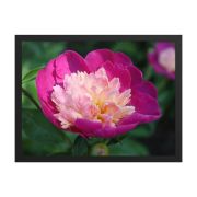 The Birth of Love 18×24 Framed Poster