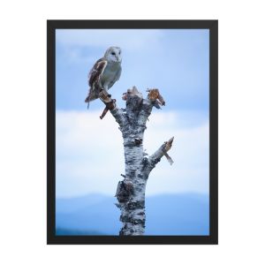 Athena 18×24 Framed Poster