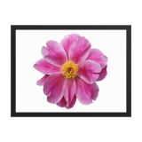 enhanced-matte-paper-framed-poster-in-black-18x24-front-6aa45d8023c26.jpg