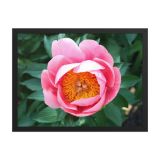 enhanced-matte-paper-framed-poster-in-black-18x24-front-6aa45f0cafa05.jpg