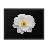 enhanced-matte-paper-framed-poster-in-black-18x24-front-6aa45fd64f17a.jpg