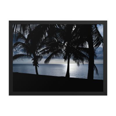 Twilight 18×24 Framed Poster