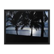 Twilight 18×24 Framed Poster