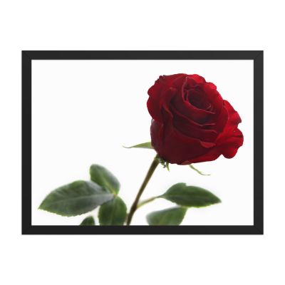 The Lovers Rose 18×24 Framed Poster