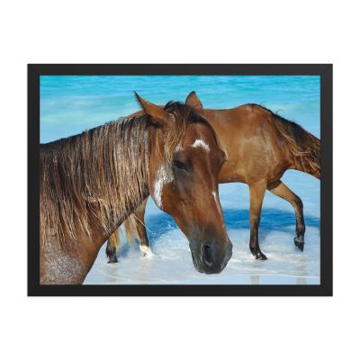Free Spirits 18×24 Framed Poster