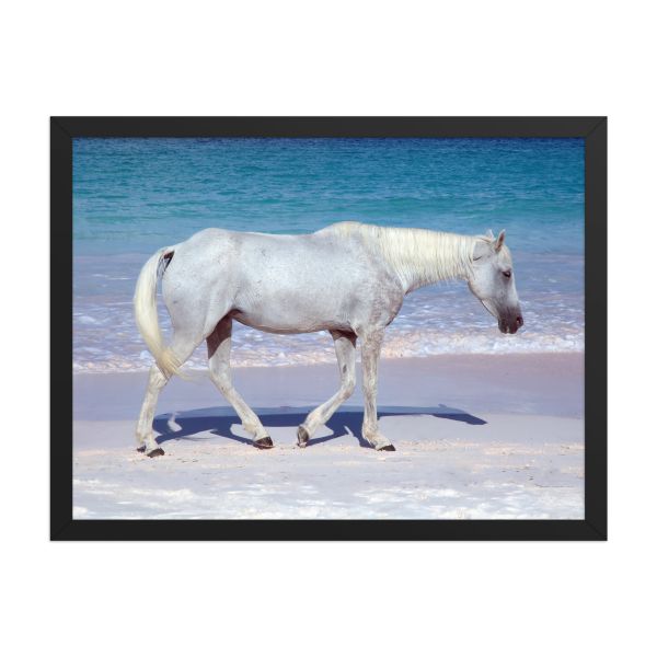Pink Sand Prince 18x24 Framed Poster